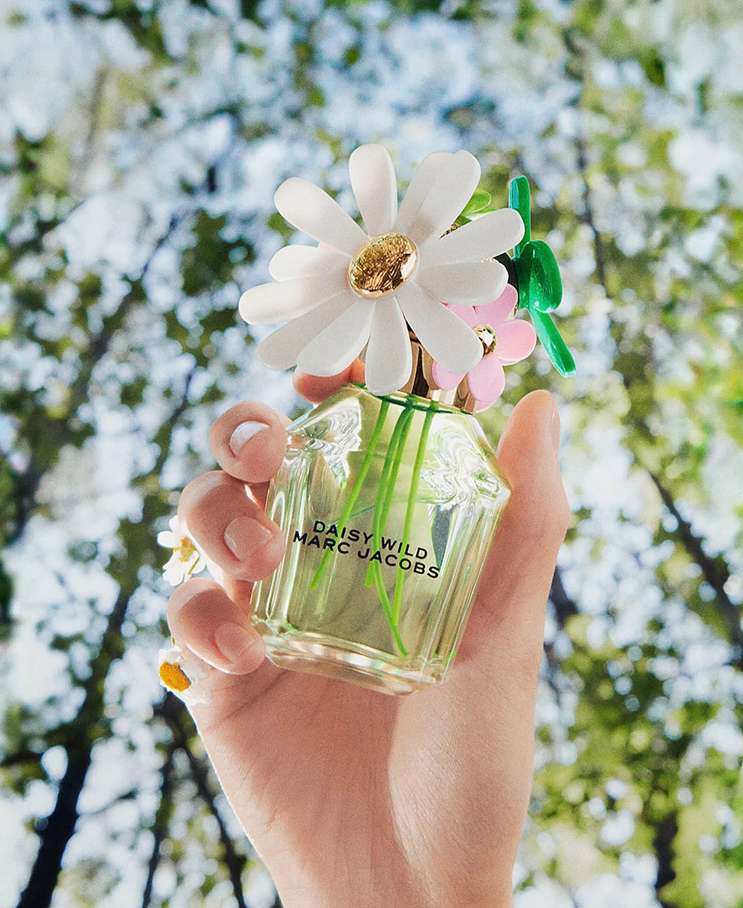 MARC JACOBS DAISY WILD 3.4 EDP WOMEN
